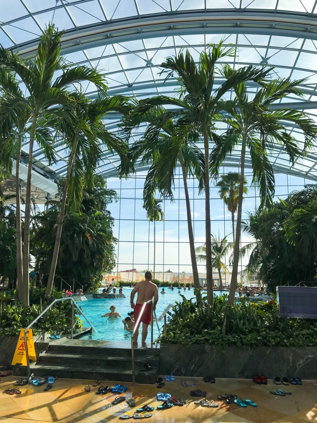 Therme București botanical glasshouse